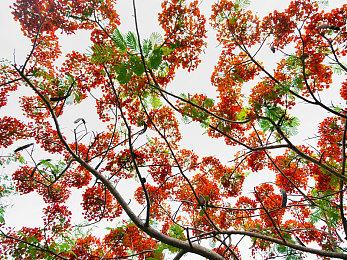 《JOJO的奇妙冒险 群星之战 重制版》艾梅斯角色预告公布