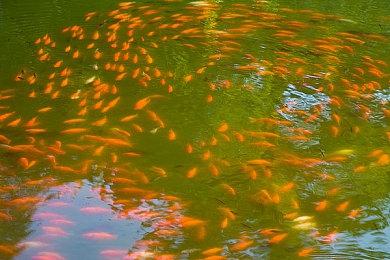 《忍者神龟：施莱德的复仇》DLC实机 8月31日发售