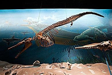 《铁拳8》制作人原田胜弘展示绘画功底